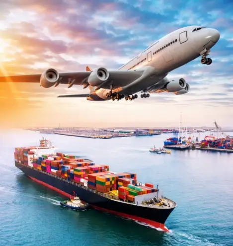Air & Sea Freight Coordination
