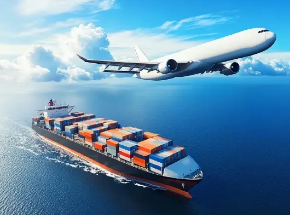 WE SPECIALISE IN THE TRANSPORTATION
